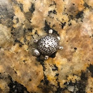 🐢Sea Turtle PANDORA Charm🐢